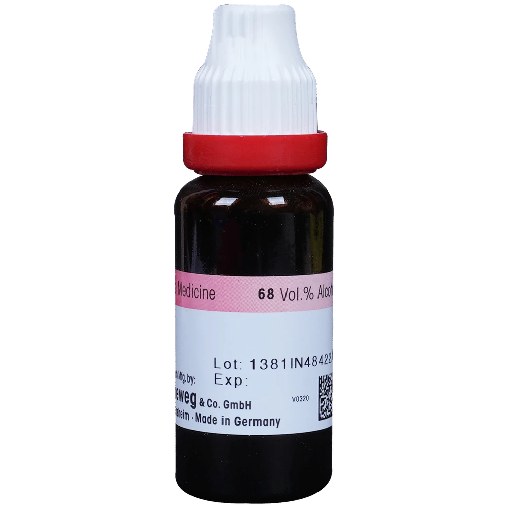 Dr. Reckeweg Alfalfa Mother Tincture Q bottle of 20 ml Mother Tincture