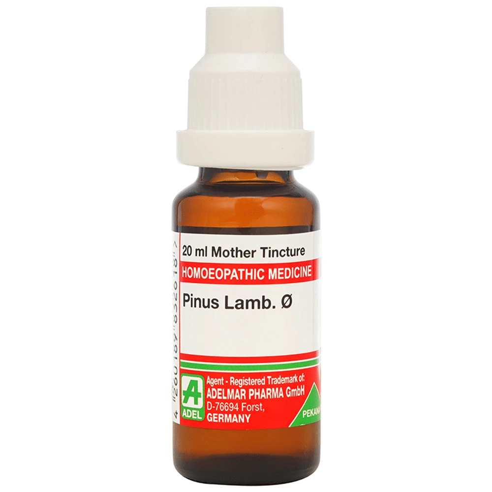ADEL Pinus Lamb. Mother Tincture Q bottle of 20 ml Mother Tincture