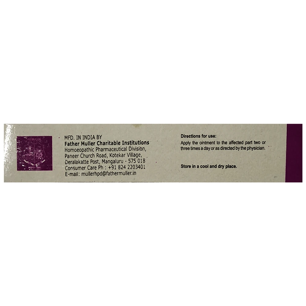 Fr Muller Analgesic Ointment tube of 15 gm Ointment