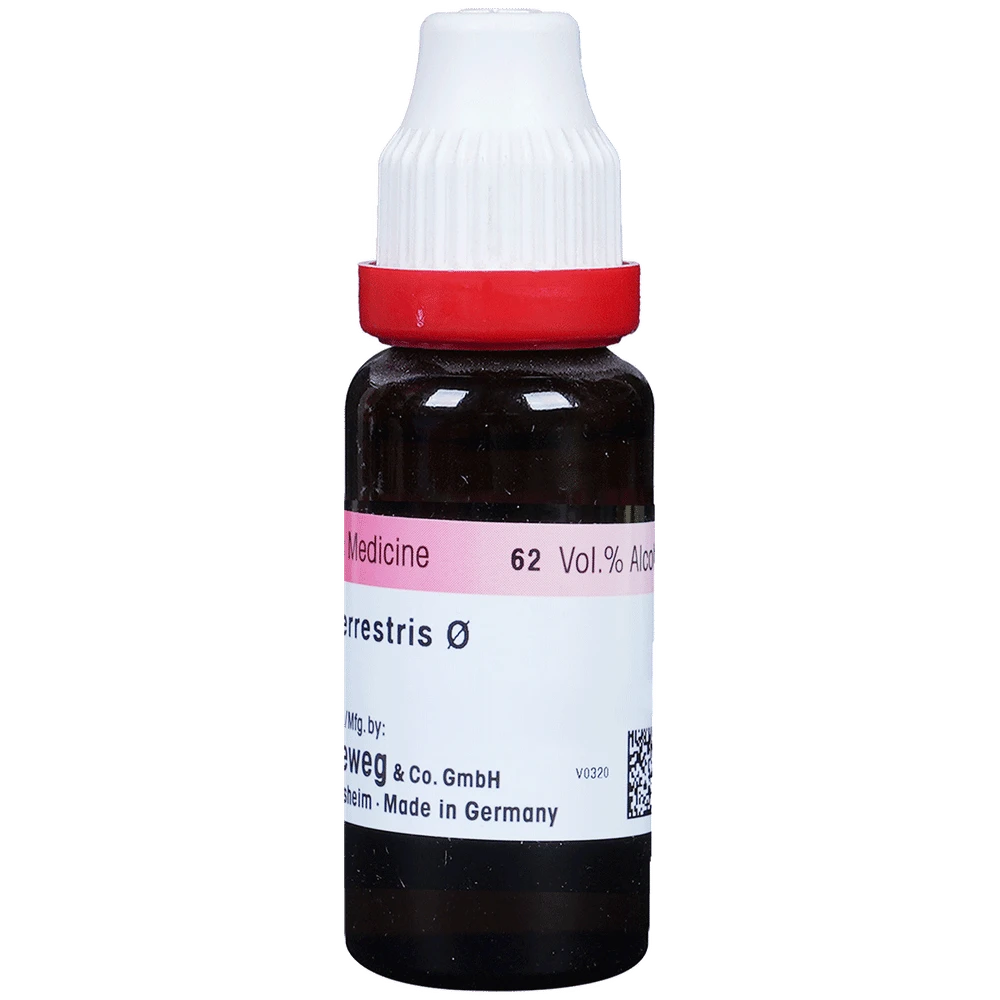 Dr. Reckeweg Tribulus Terr Mother Tincture Q bottle of 20 ml Mother Tincture