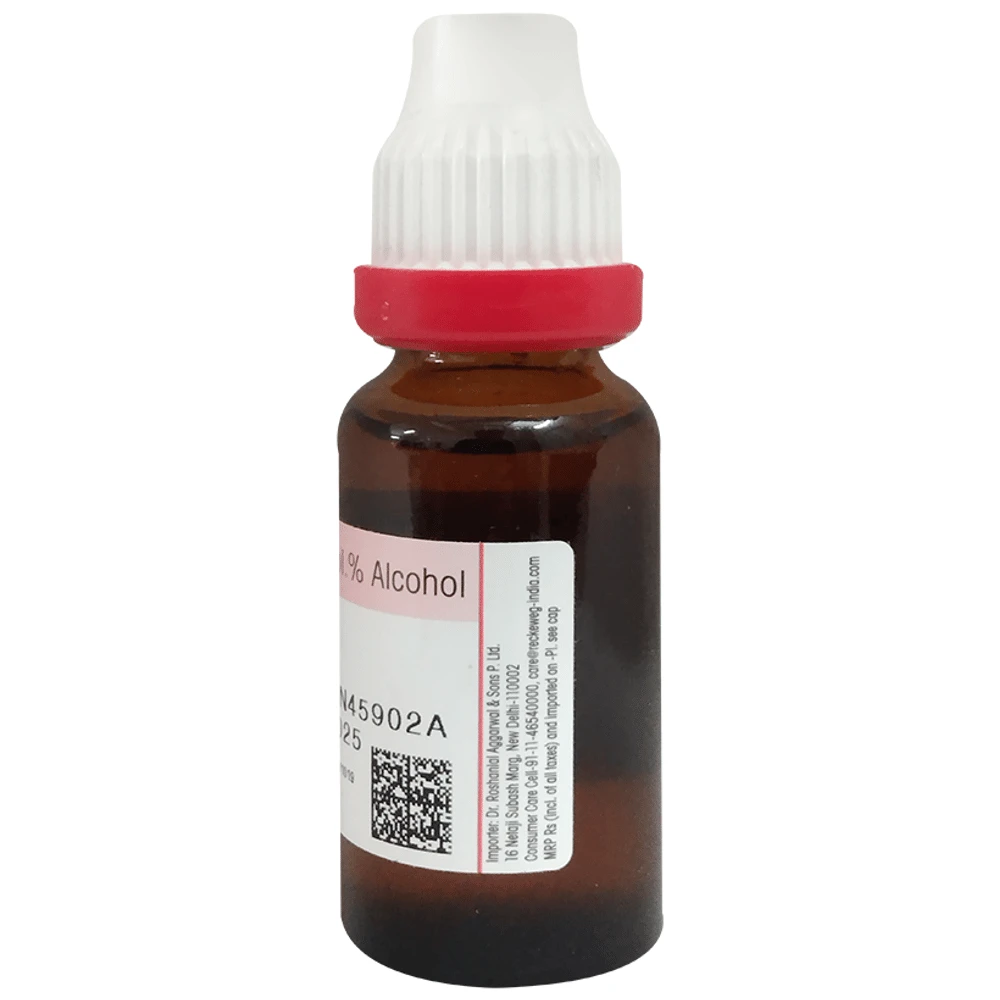 Dr Reckeweg Ruta Graveolens Mother Tincture Q bottle of 20 ml Mother Tincture Dr Reckeweg Ruta Graveolens Mother Tincture Q bottle of 20 ml Mother Tincture