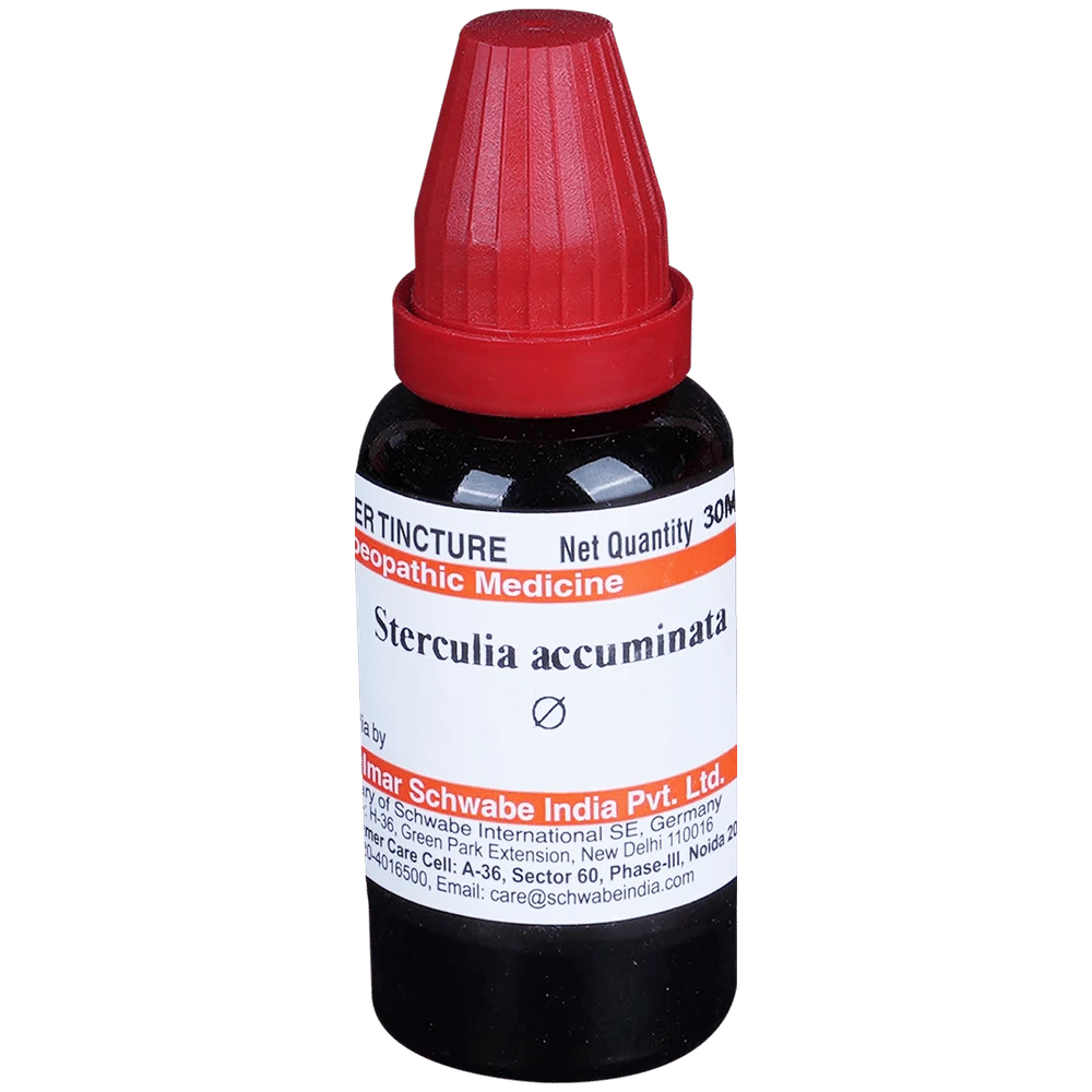 Dr Willmar Schwabe India Sterculia Acuminata Mother Tincture Q bottle of 30 ml Mother Tincture