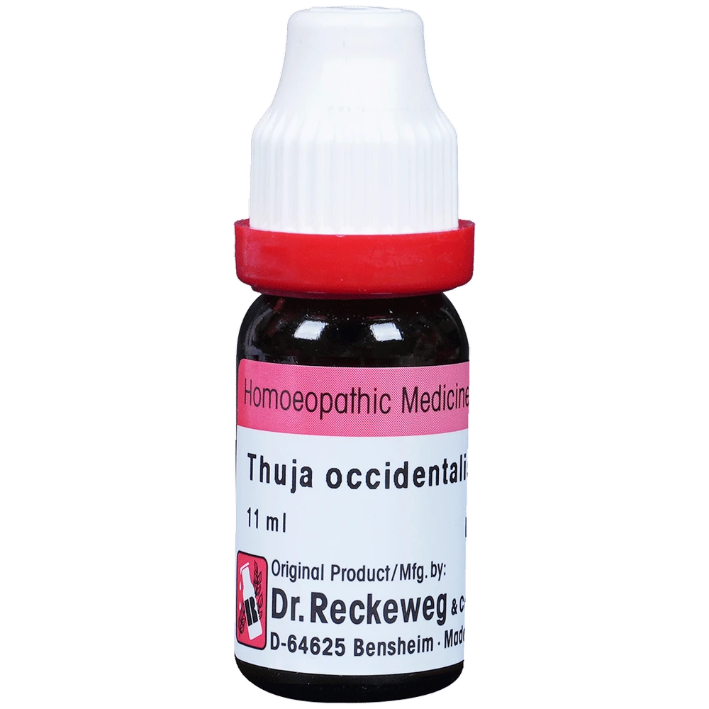 Dr. Reckeweg Thuja Occ Dilution 30 CH bottle of 11 ml Dilution