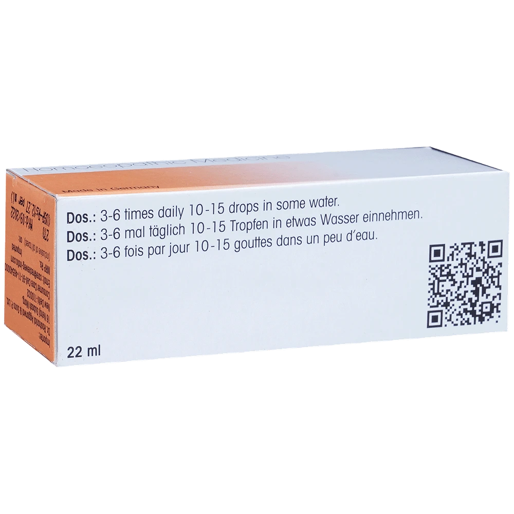 Dr. Reckeweg R49 Sinus Drop bottle of 22 ml Drop