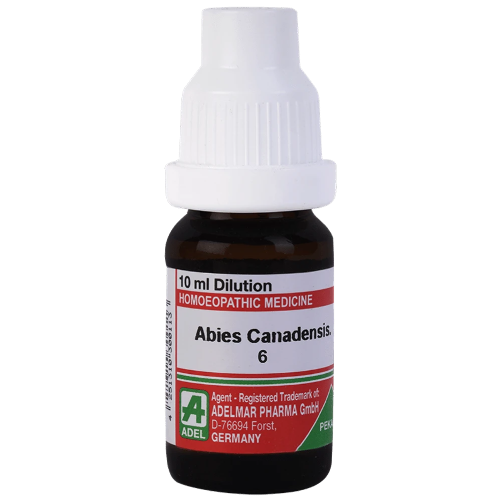 ADEL Abies Canadensis. Dilution 6 bottle of 10 gm Dilution