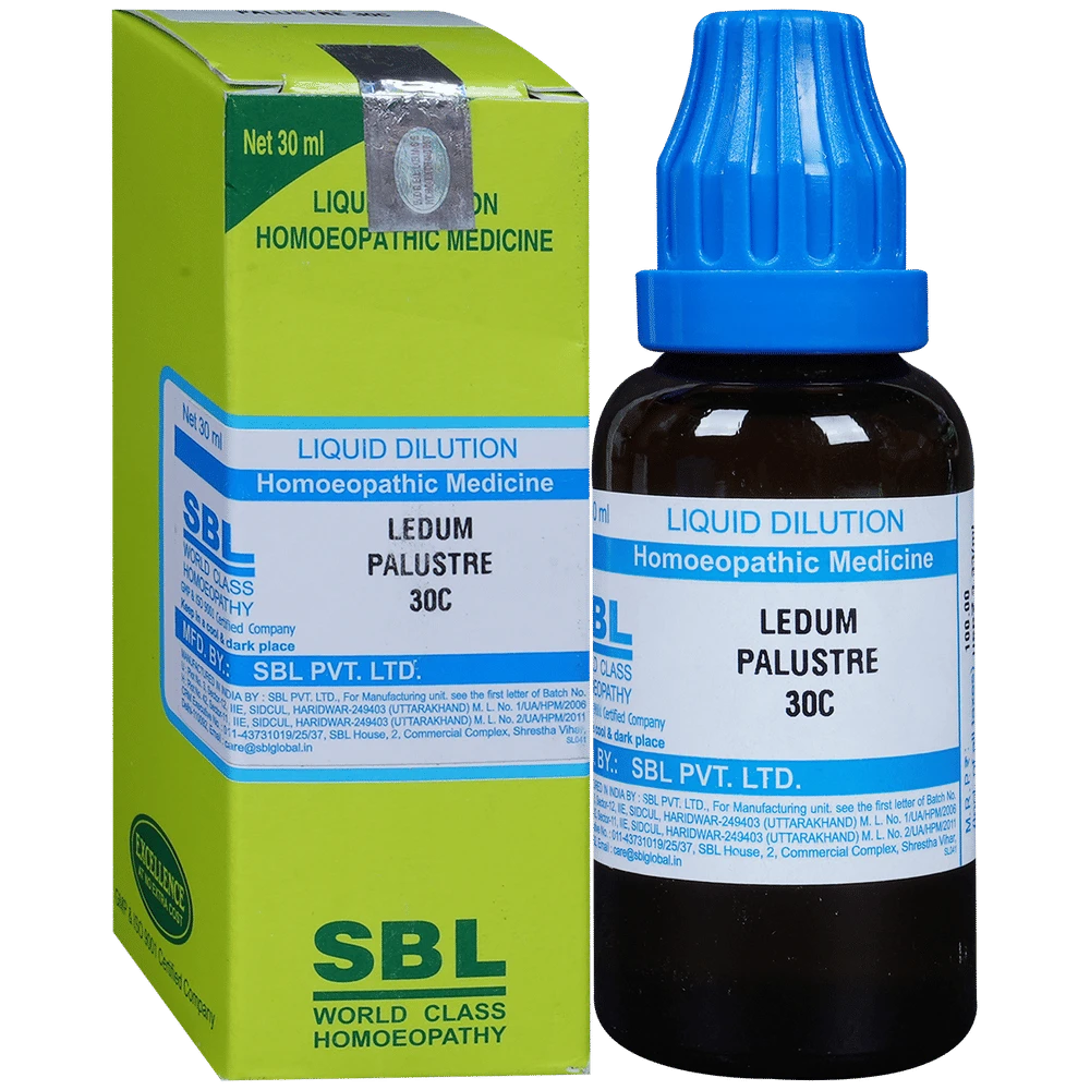 SBL Ledum Palustre Dilution 30 CH bottle of 30 ml Dilution