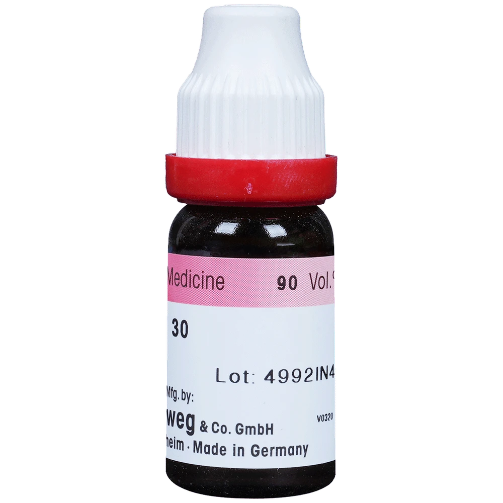 Dr. Reckeweg Nux Vomica Dilution 30 CH bottle of 11 ml Dilution Dr. Reckeweg Nux Vomica Dilution 30 CH bottle of 11 ml Dilution