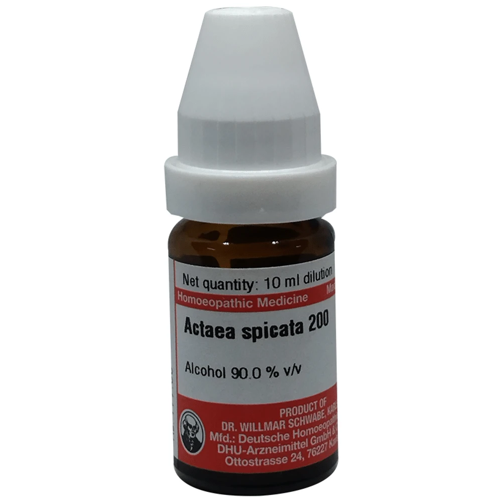 Dr Willmar Schwabe Germany Actaea Spicata Dilution 200 bottle of 10 ml Dilution
