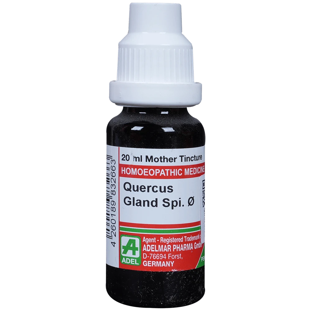 ADEL Quercus Gland Spi Mother Tincture Q bottle of 20 ml Mother Tincture