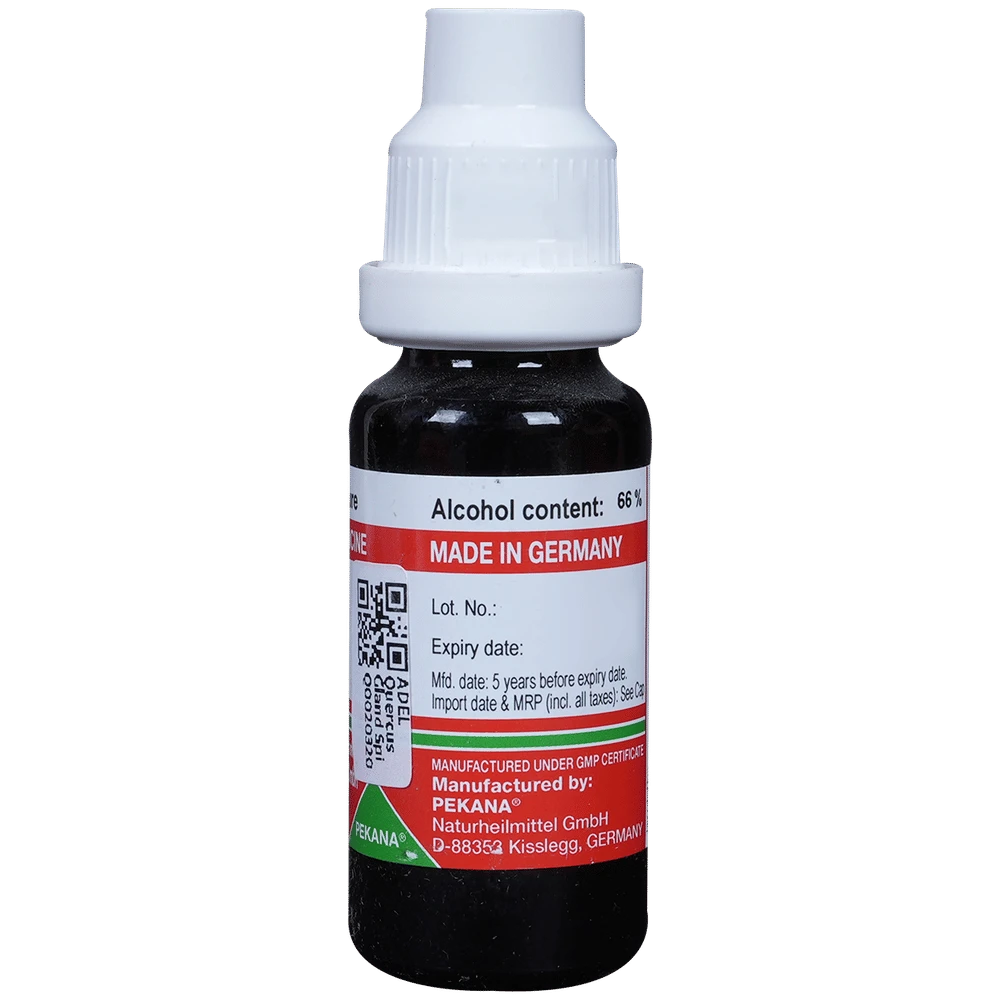 ADEL Quercus Gland Spi Mother Tincture Q bottle of 20 ml Mother Tincture