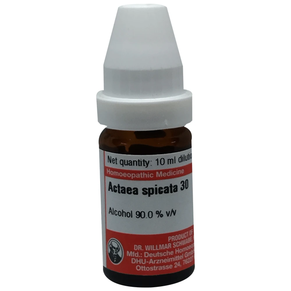 Dr Willmar Schwabe Germany Actaea Spicata Dilution 30 bottle of 10 ml Dilution