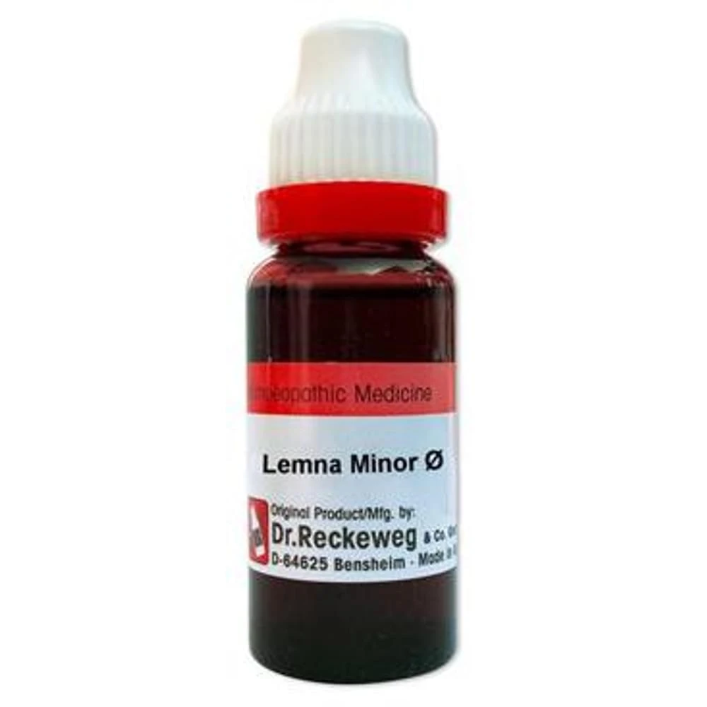 Dr. Reckeweg Lemna Minor Mother Tincture Q bottle of 20 ml Mother Tincture