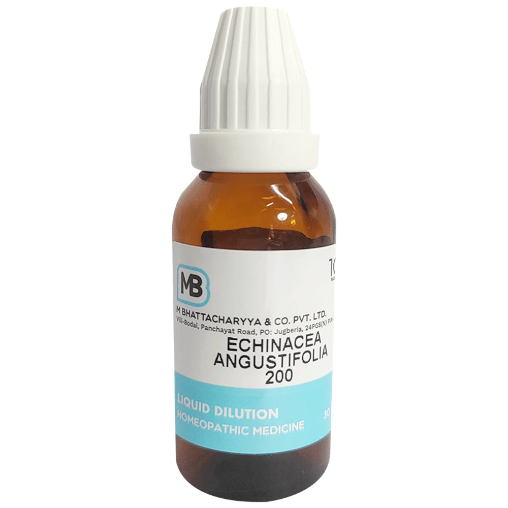 MB Echinacea Angustifolia Dilution 200 bottle of 30 ml Dilution
