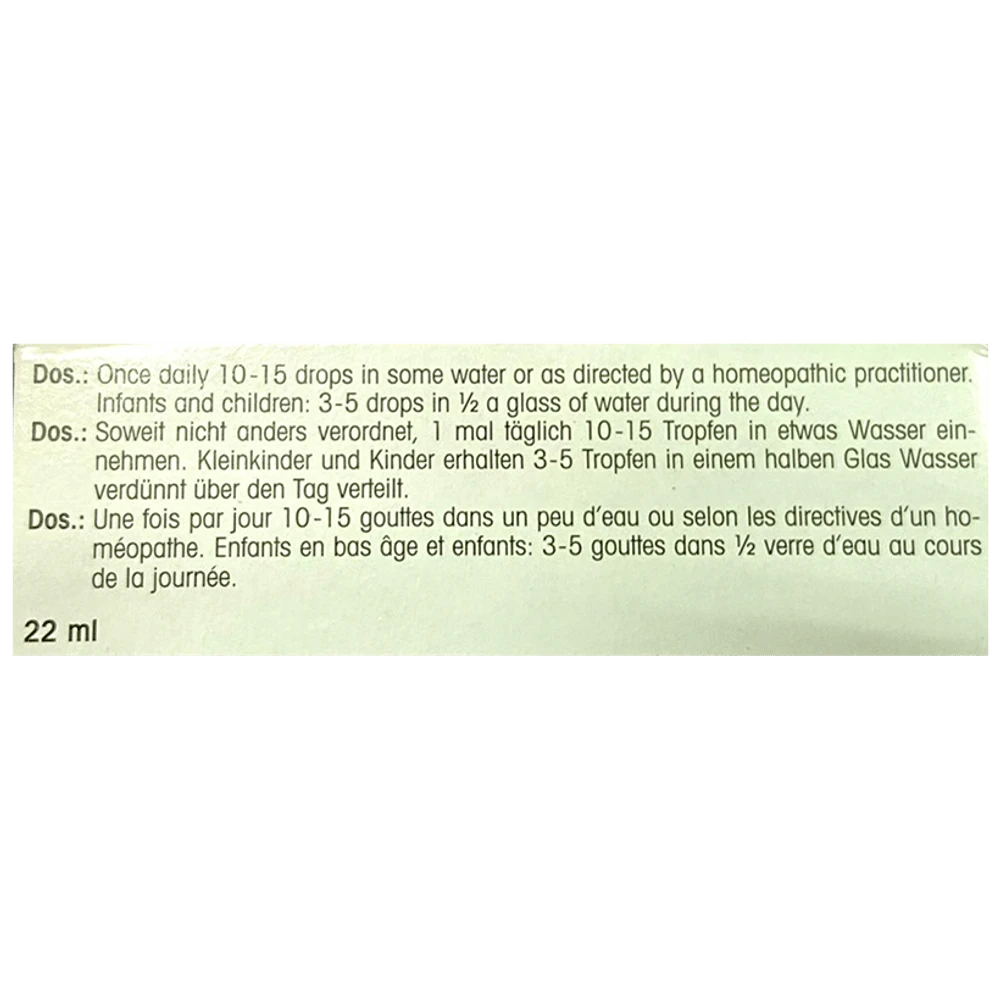 Dr. Reckeweg R33 Epilepsy Drop bottle of 22 ml Drop