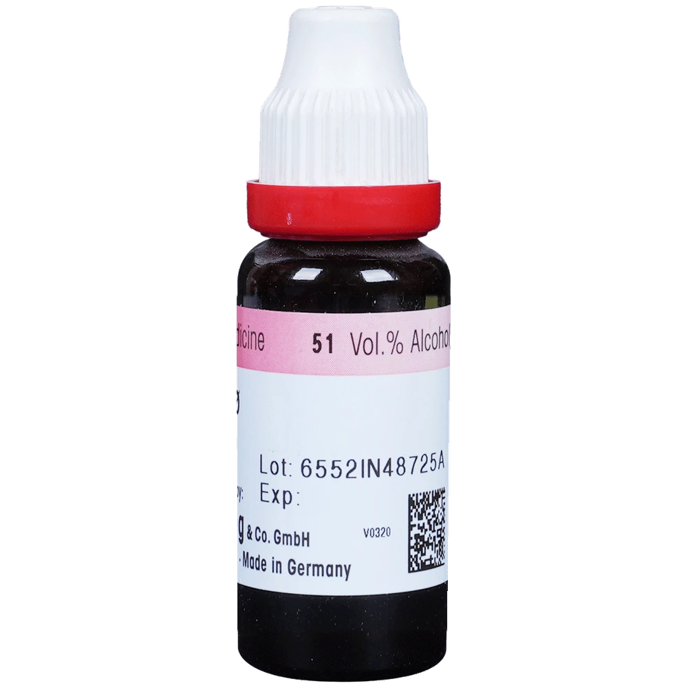 Dr. Reckeweg Urtica Urens Mother Tincture Q bottle of 20 ml Mother Tincture