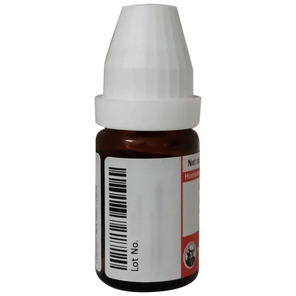 Dr Willmar Schwabe Germany Agnus Castus Dilution 30 bottle of 10 ml Dilution