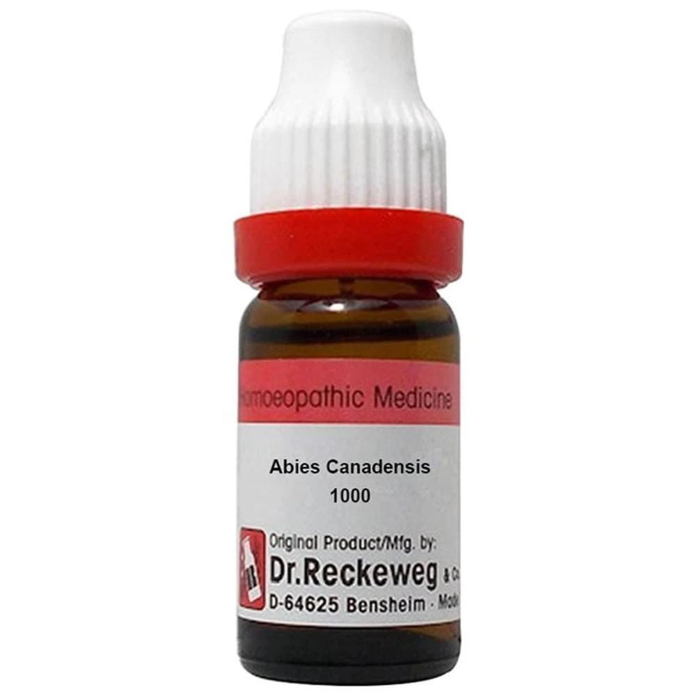 Dr. Reckeweg Abies Canadensis Dilution 1000 CH bottle of 11 ml Dilution Dr. Reckeweg Abies Canadensis Dilution 1000 CH bottle of 11 ml Dilution
