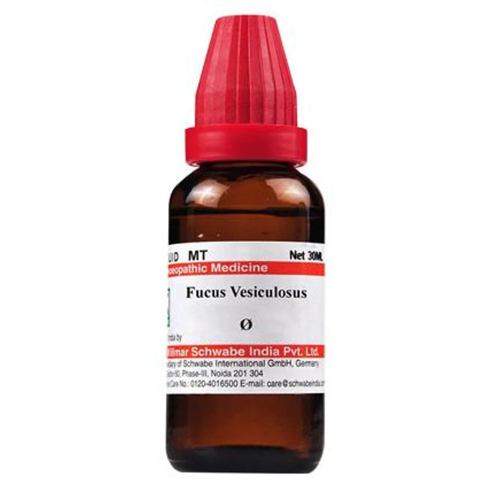 Dr Willmar Schwabe India Fucus Vesiculosus Mother Tincture Q bottle of 30 ml Mother Tincture