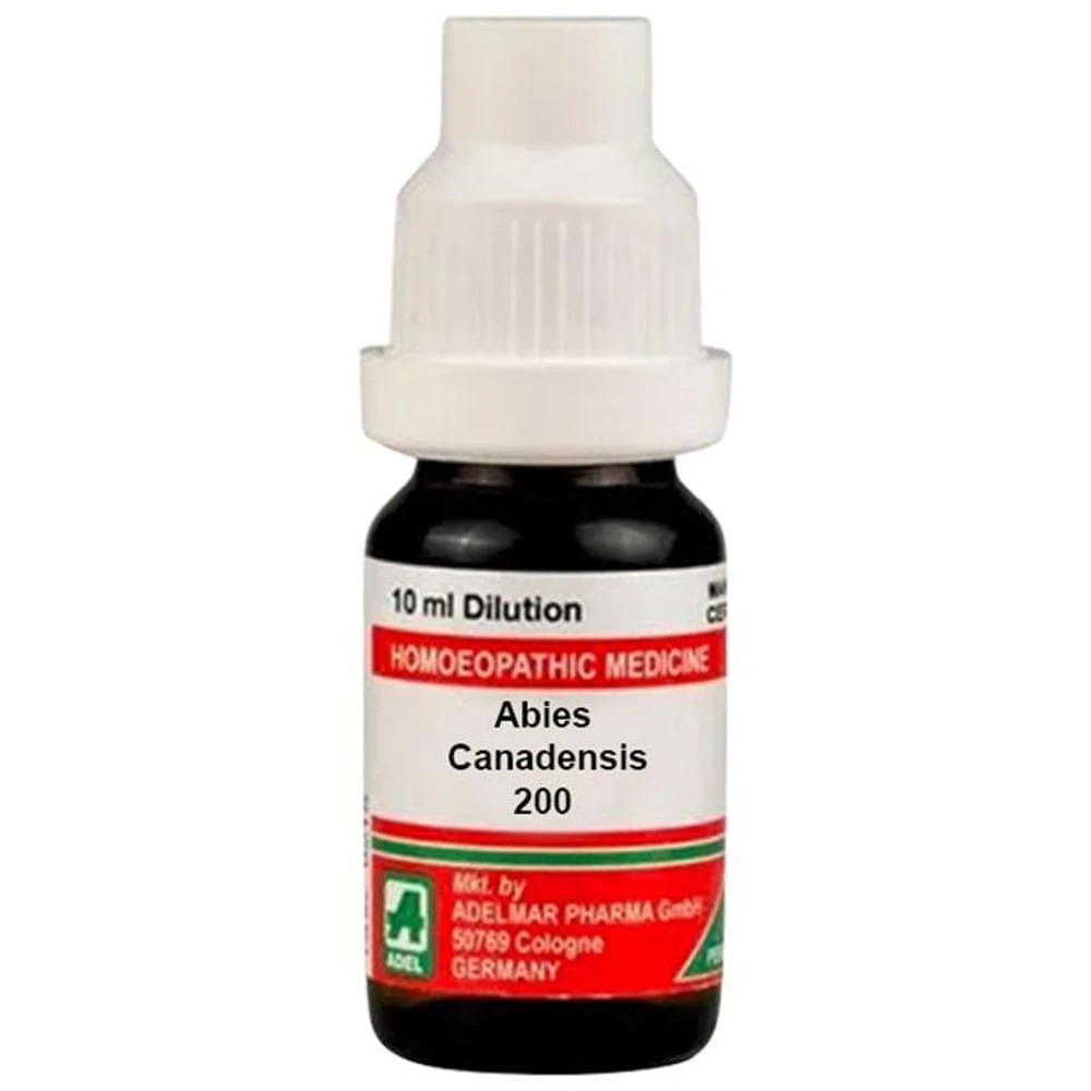 ADEL Abies Canadensis. Dilution 200 bottle of 10 ml Dilution ADEL Abies Canadensis. Dilution 200 bottle of 10 ml Dilution