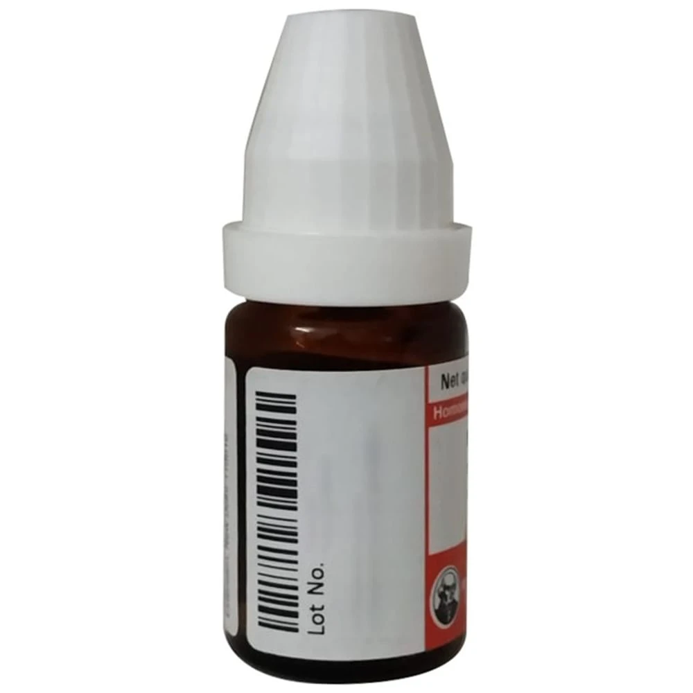Dr Willmar Schwabe Germany Arctium Lappa Dilution 30 bottle of 10 ml Dilution