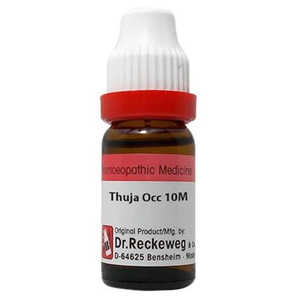 Dr. Reckeweg Thuja Occ Dilution 10M CH bottle of 11 ml Dilution