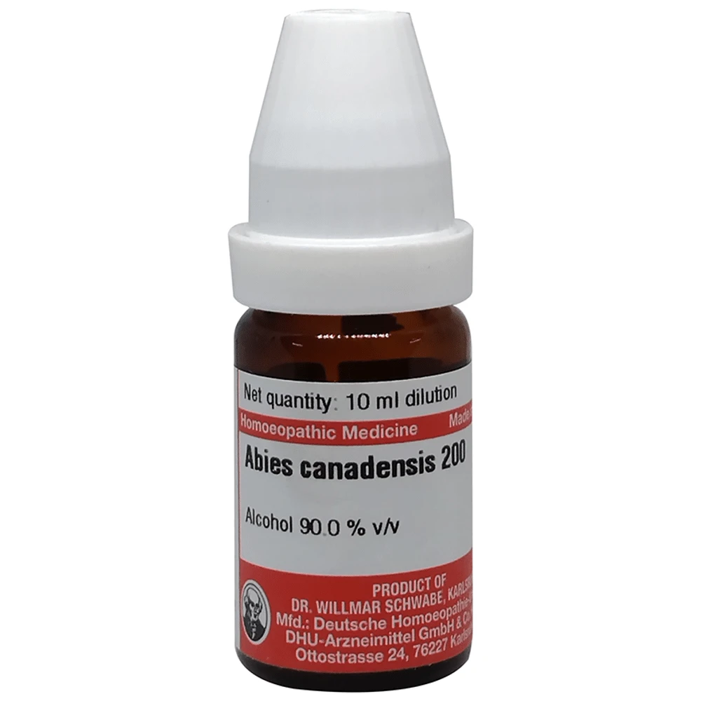 Dr Willmar Schwabe Germany Abies Canadensis Dilution 200 bottle of 10 ml Dilution Dr Willmar Schwabe Germany Abies Canadensis Dilution 200 bottle of 10 ml Dilution