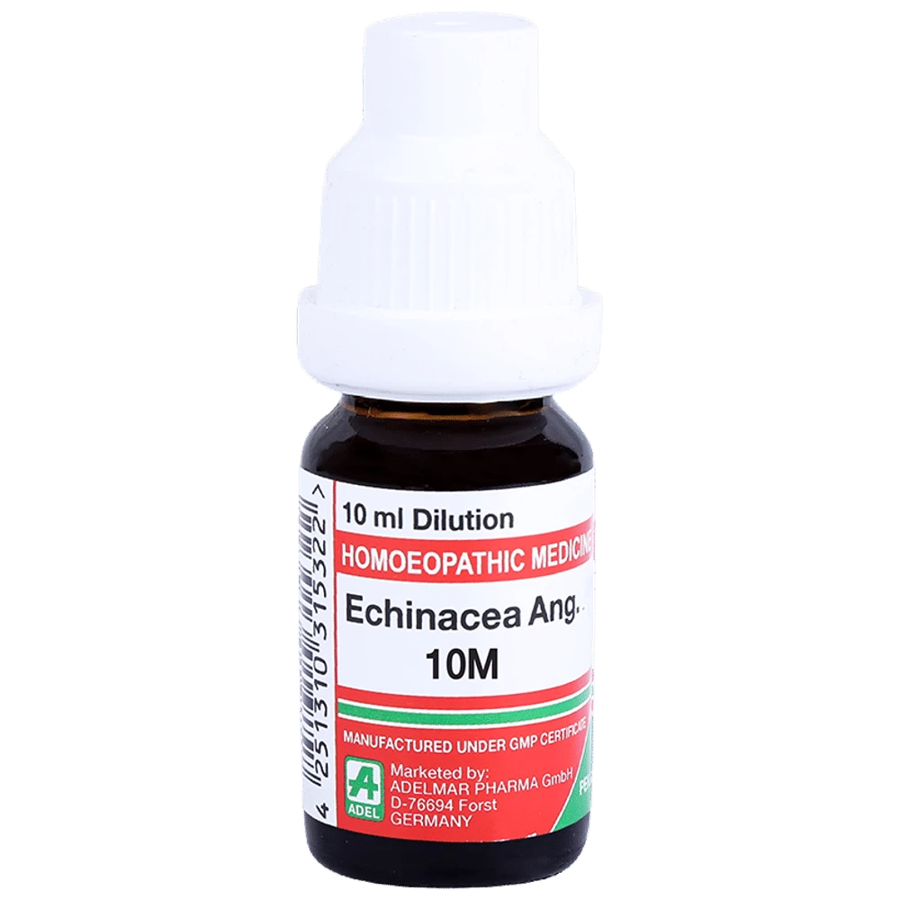 ADEL Echinacea Ang. Dilution 10M bottle of 10 ml Dilution