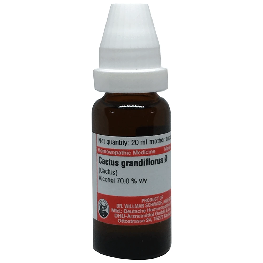 Dr Willmar Schwabe Germany Cactus Grandiflorus Mother Tincture Q bottle of 20 ml Mother Tincture Dr Willmar Schwabe Germany Cactus Grandiflorus Mother Tincture Q bottle of 20 ml Mother Tincture