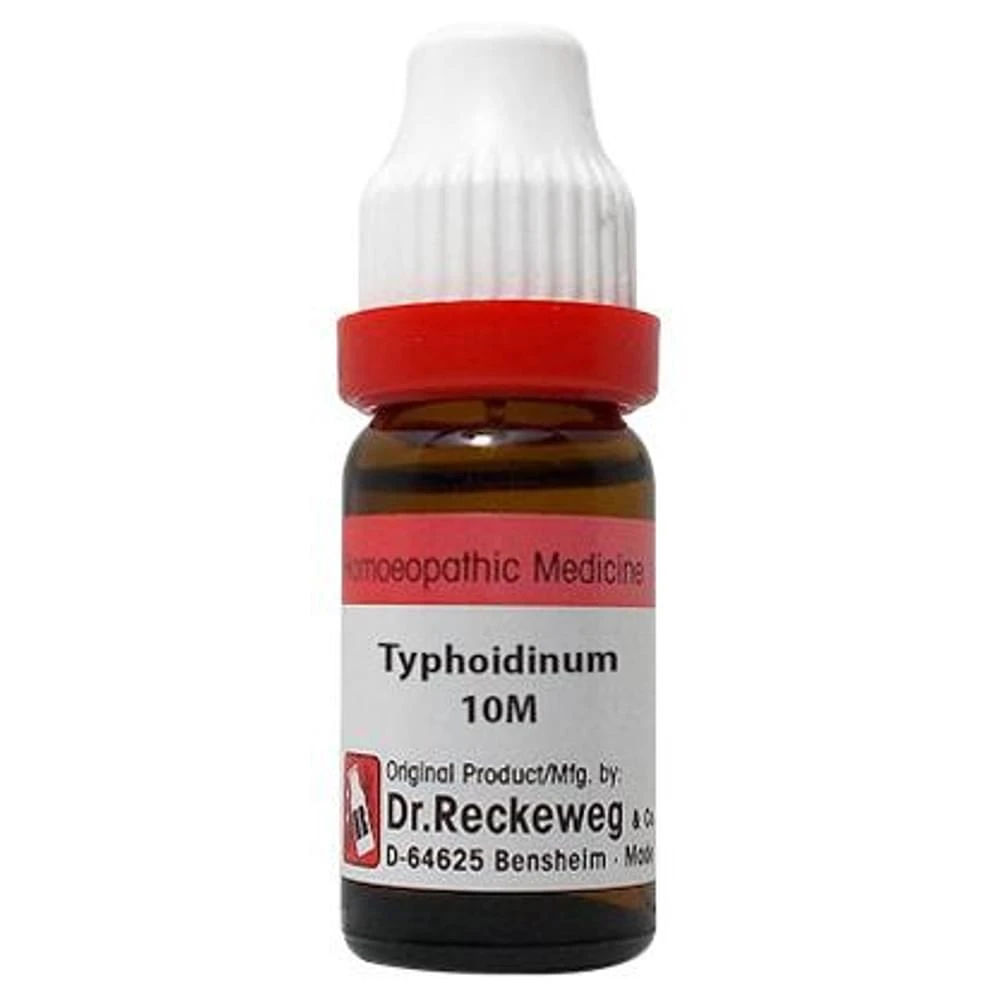 Dr. Reckeweg Typhodinum Dilution 10M CH bottle of 11 ml Dilution