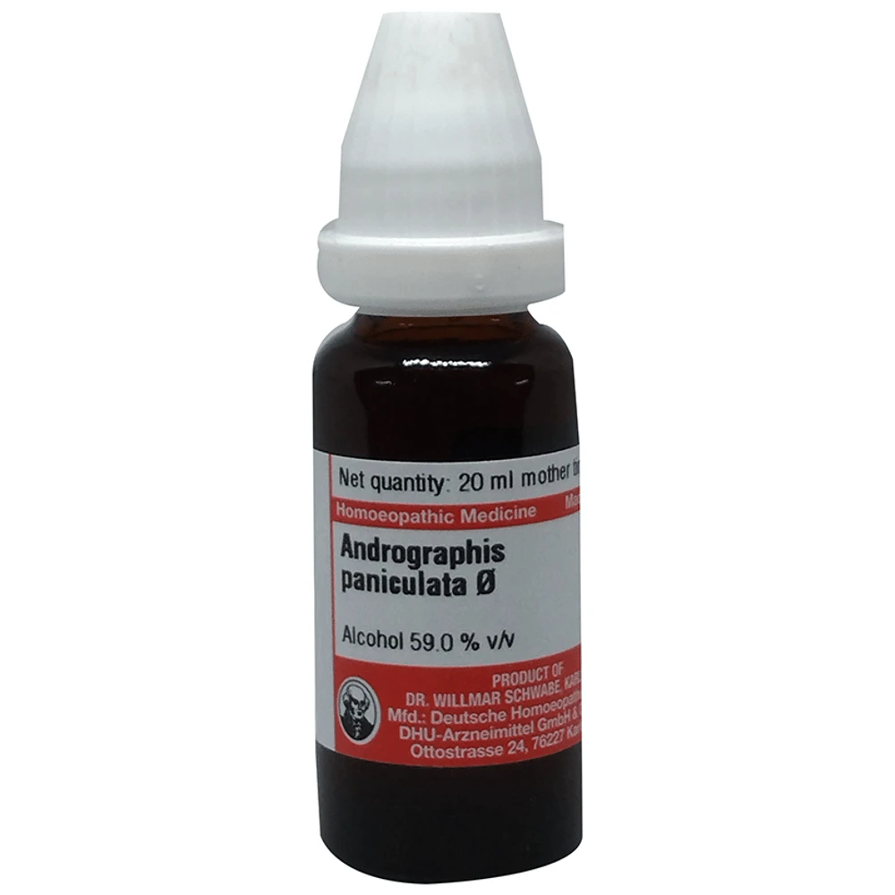 Dr Willmar Schwabe Germany Angelica Archangelica (Angelica) Mother Tincture Q bottle of 20 ml Mother Tincture