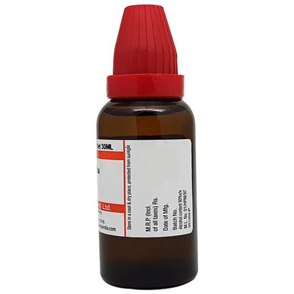 Dr Willmar Schwabe India Cydonia Vulgaris Mother Tincture Q bottle of 30 ml Mother Tincture Dr Willmar Schwabe India Cydonia Vulgaris Mother Tincture Q bottle of 30 ml Mother Tincture
