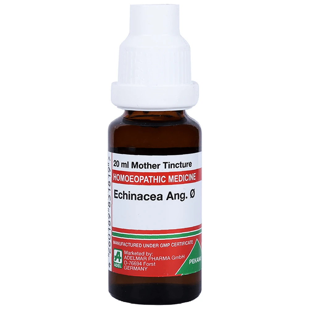 ADEL Echinacea Ang. Mother Tincture Q bottle of 20 ml Mother Tincture