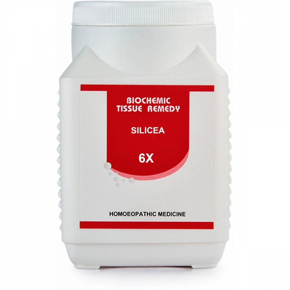 Bakson Silicea 6X (450g)