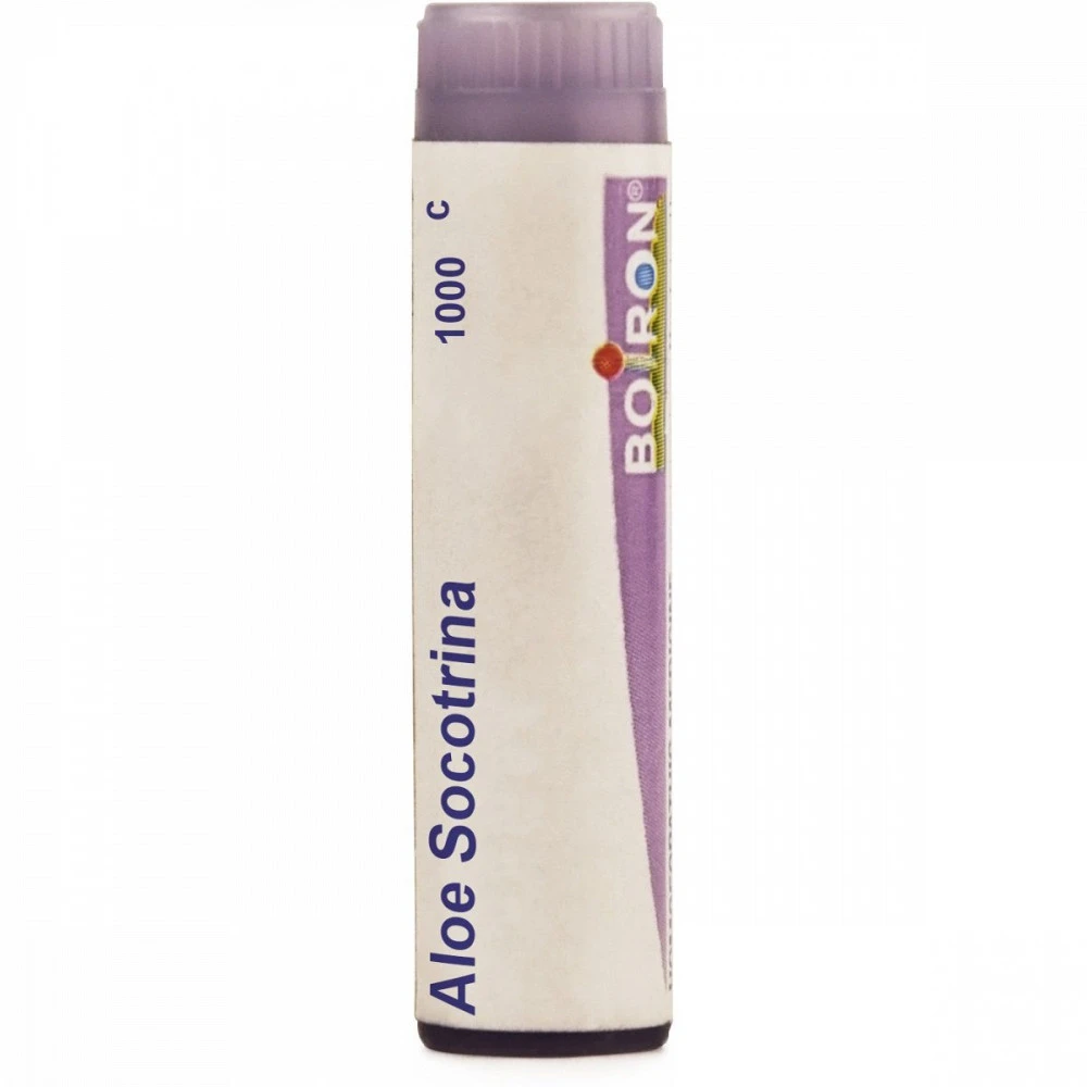Boiron Aloe Socotrina Multi Dose Pellets 1000 CH (4g) Boiron Aloe Socotrina Multi Dose Pellets 1000 CH (4g)