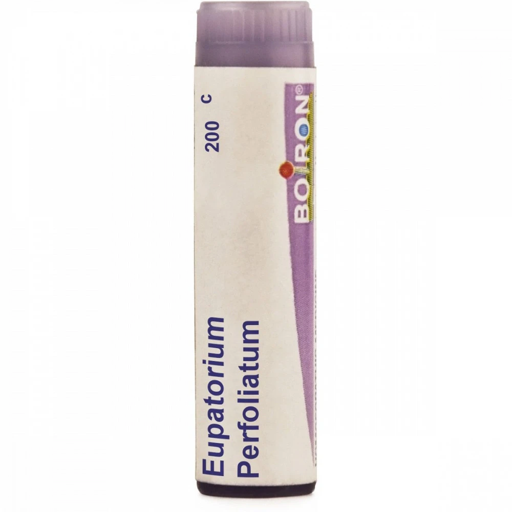 Boiron Eupatorium Perfoliatum Multi Dose Pellets 200 CH (4g) Boiron Eupatorium Perfoliatum Multi Dose Pellets 200 CH (4g)