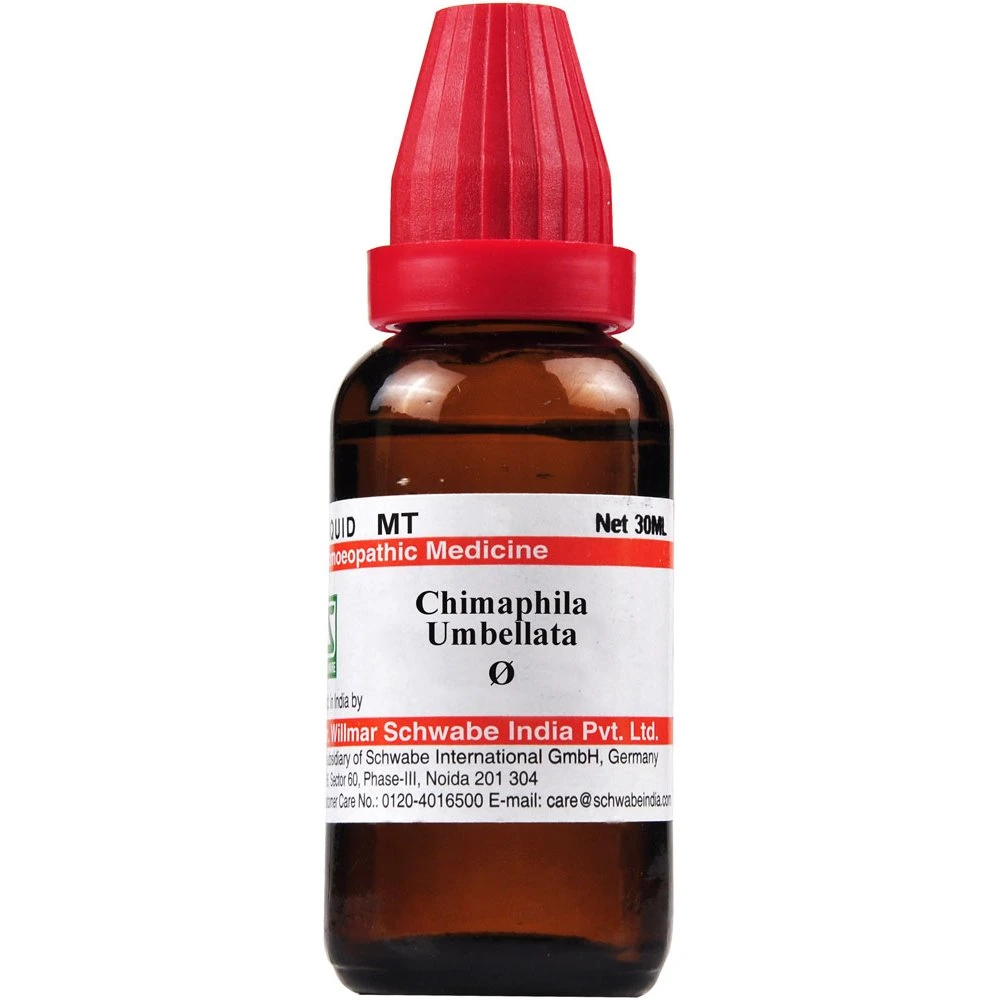 Willmar Schwabe India Chimaphila Umbellata 1X (Q) (30ml) Willmar Schwabe India Chimaphila Umbellata 1X (Q) (30ml)