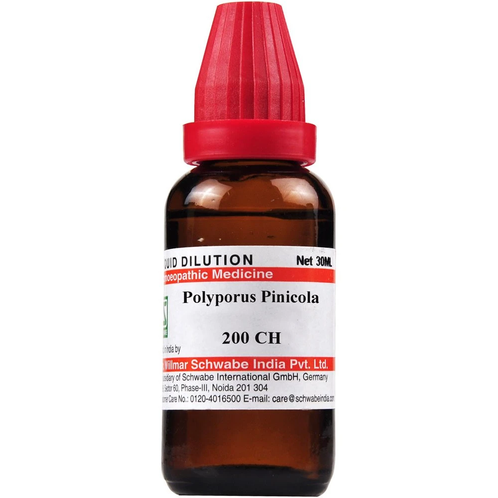 Willmar Schwabe India Polyporus Pinicola 200 CH (30ml) Willmar Schwabe India Polyporus Pinicola 200 CH (30ml)