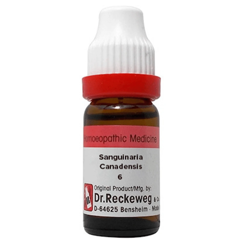 Dr. Reckeweg Sanguinaria Canadensis Dilution 6 CH bottle of 11 ml Dilution