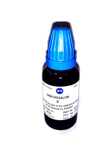 St George Ornithogalum Umbellatum 1X (Q) (30ml)