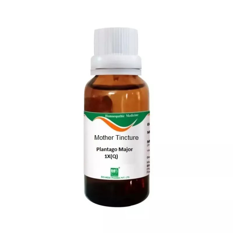 Bio India Plantago Major 1X (Q) (30ml)