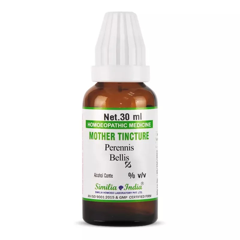 Similia India Bellis Perennis 1X (Q) (30ml)