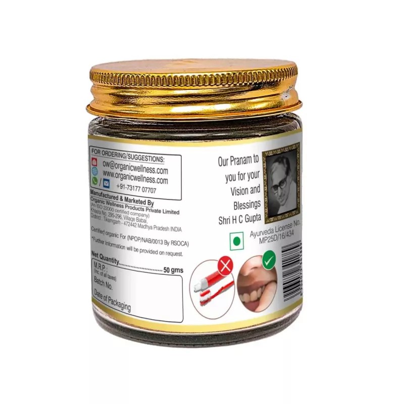 Organic Wellness Dant Manjan (40g)