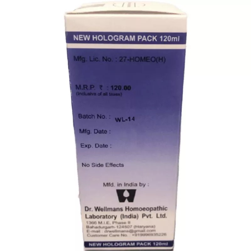 Dr Wellmans Ferrum 5 Syrup (120ml)