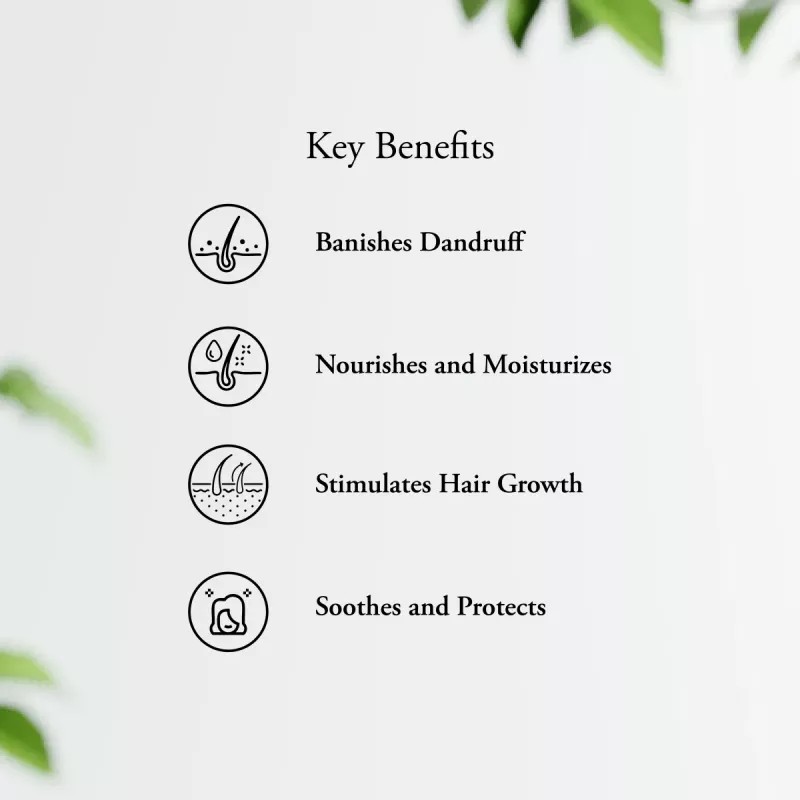 Sitaram Ayurveda Scurf Hair Oil (100ml)