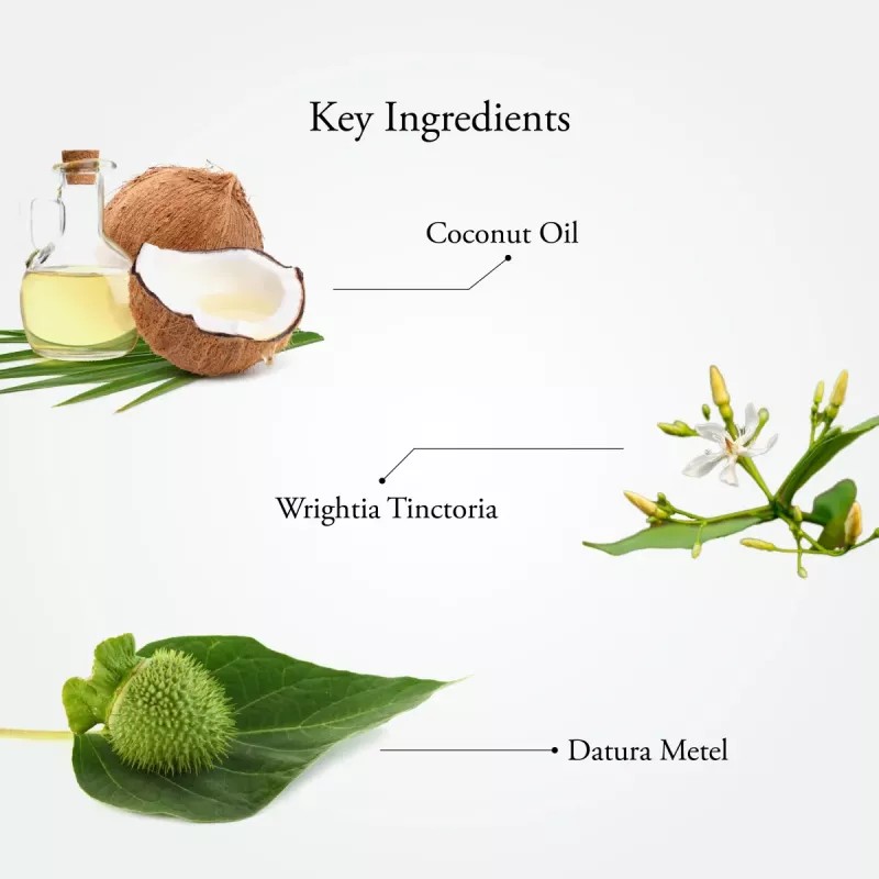 Sitaram Ayurveda Scurf Hair Oil (100ml)