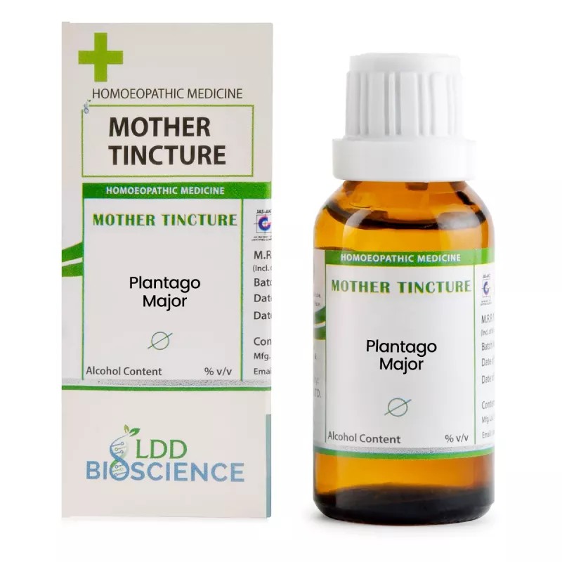 LDD Bioscience Plantago Major 1X (Q) (30ml)