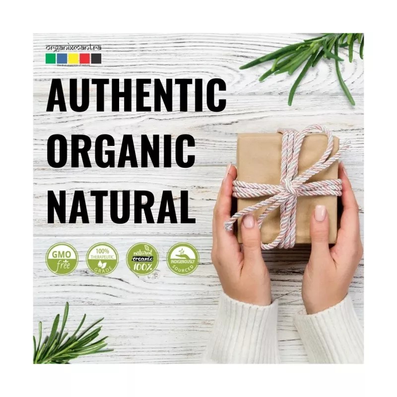 Organix Mantra Rosemary Essential Oil (15ml)