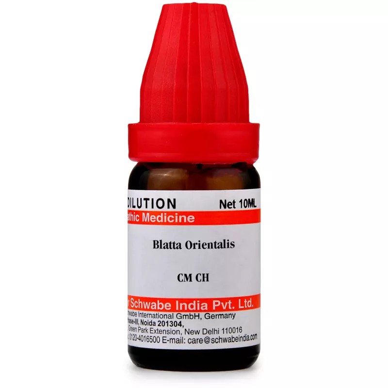 Willmar Schwabe India Blatta Orientalis CM CH (10ml)