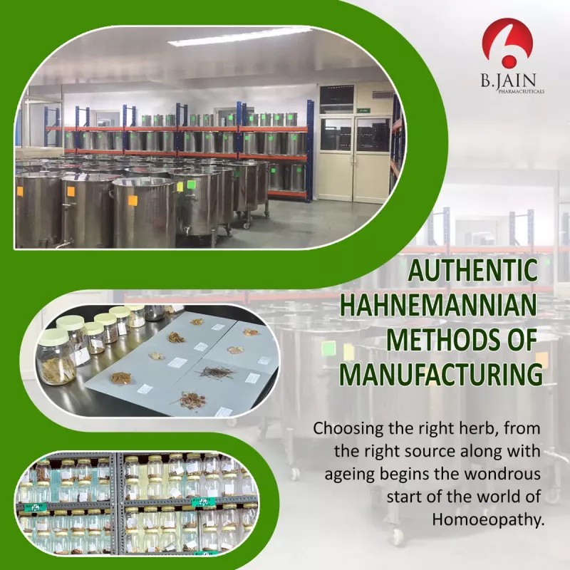 BJain Abrotanum 1X (Q) (30ml)