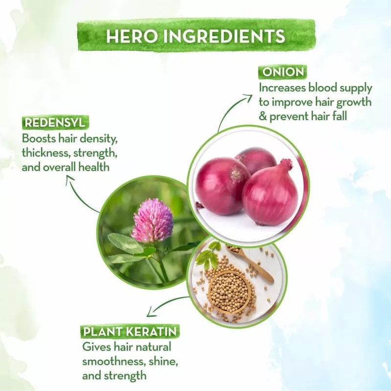 Mamaearth Onion Shampoo + Onion Hair Oil Combo (Shampoo 250ml + Oil 150ml) (1Pack)